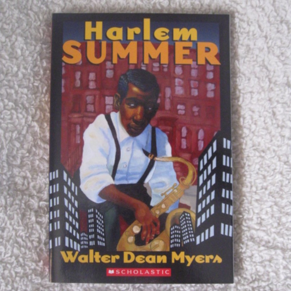 5/$30 Harlem Summer Paperback Book